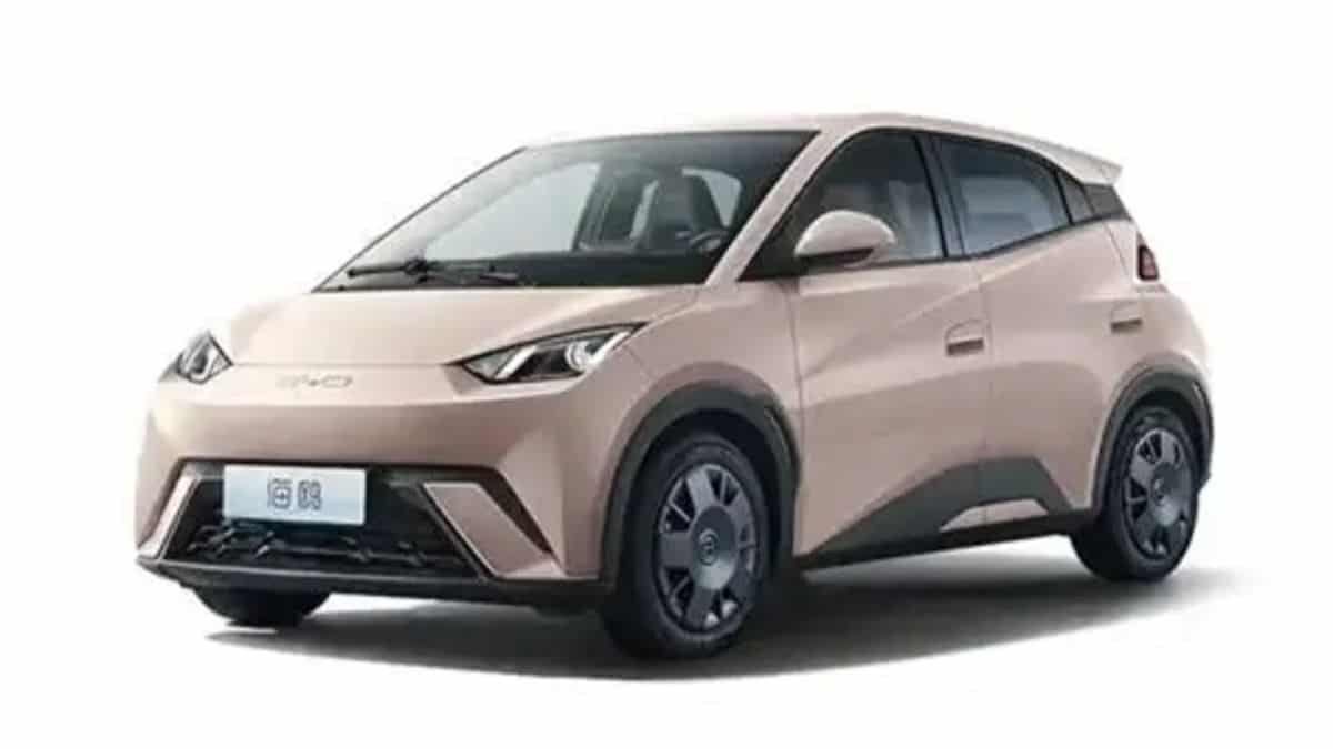 Seagull Free Edition