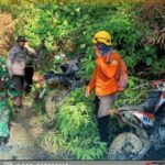 Hutan Bukit Bedung Natuna