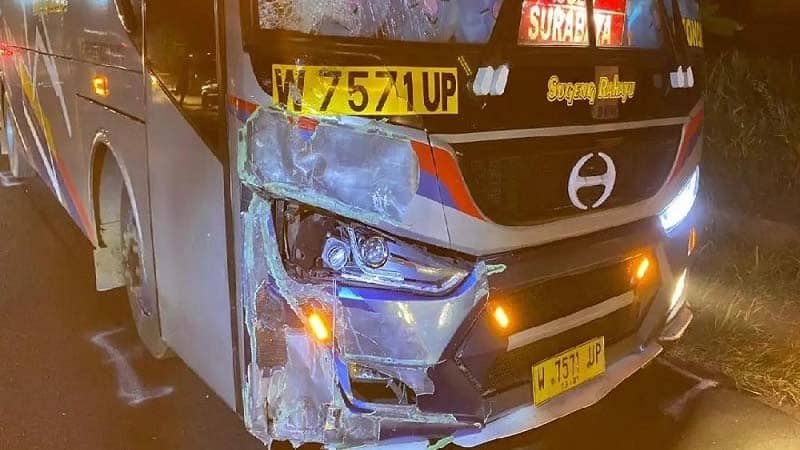 Laka Jalan Raya Sragen-Ngawi Bus Sugeng Rahayu Menyalip Tabrak Truk dan Hantam Pemotor Seorang Mahasiswa Klaten Tewas