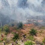 kebakaran hutan di riau