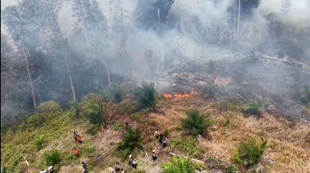 kebakaran hutan di riau