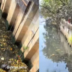 pria tewas terjatuh di kali Kali Cengkareng Drain