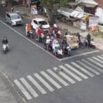 video kucing menyebrang di zebra cross Bondowoso