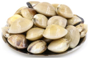 Kerang Putih, Makanan Laut Bergizi Tinggi dengan Segudang Manfaat