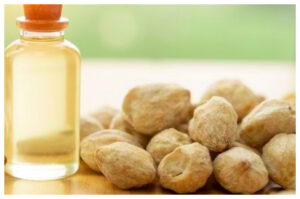 Manfaat dan Cara Menggunakan Minyak Kemiri untuk Rambut Sehat