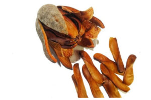 Manfaat dan Risiko Buah Mahoni untuk Vitalitas Pria