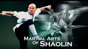Acara Indosiar Senin, 18 Agustus 2025 Live Liga 1 Indonesia dan Piala Kemerdekaan hingga Martial Arts Of Shaolin
