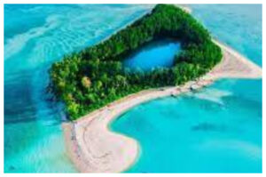 Pulau Venu, Jejak Penyu di Negeri Karang