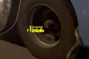 Viral Ular ‘Nangkring’ di Ban Bus Transjakarta, Begini Penampakannya