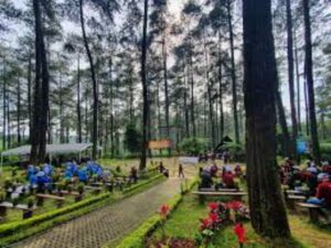 Belajar dari Orchid Forest dan Dusun Bambu, Kalsel Kembangkan Tahura Sultan Adam