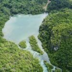 Teluk Halong Allang Asaude