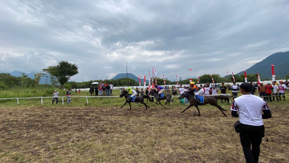 Champion Horse Racing 2025