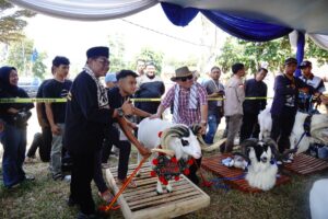 Pesta Patok Domba 2025, Ikon Budaya Garut yang Gerakkan Ekonomi dan Wisata Lokal