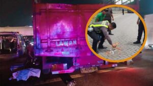 Dua Kecelakaan Mengerikan Dua Pemuda Tewas di Sidoarjo, Seorang Ditabrak Truk dan Tewas Gara-gara Menabrak Kucing