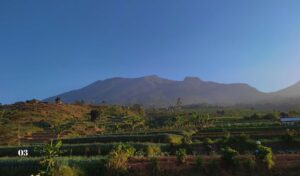 Menjelajahi Keindahan Desa Sindangjaya, Desa Tertinggi di Puncak yang Memesona