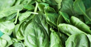 4 Buah dan Sayuran Ajaib yang Bisa Bersihkan Ginjal dari Racun, Nomor 3 Paling Tak Terduga!