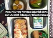 Puluhan Siswa SD SMP di Lampung Timur Diduga Keracunan MBG 16 Dirawat Inap