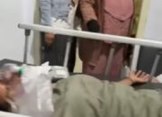 Viral Ratusan Siswa Keracunan Akibat MBG di Sulawesi Tengah, Beberapa Kejang-Kejang