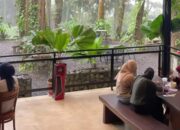 Aranya Coffee and Forest: Sensasi Ngopi di Alam Pegunungan, Bogor