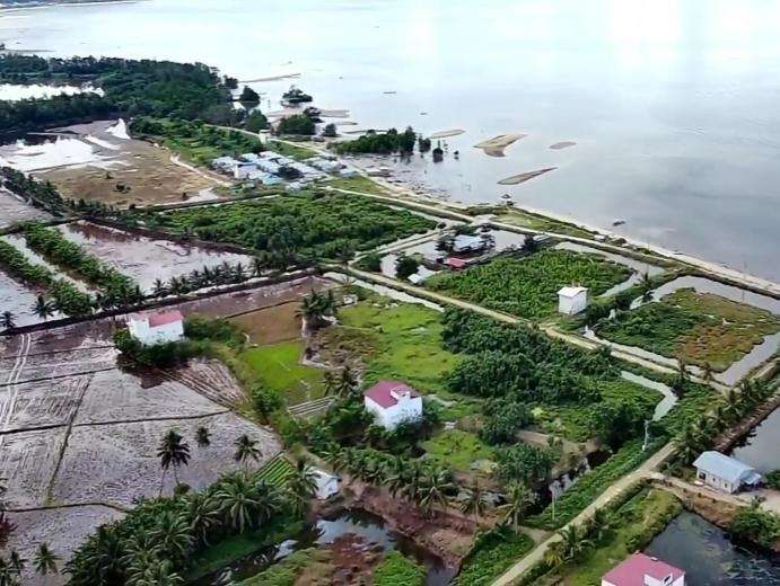 Desa Malangga Tolitolii