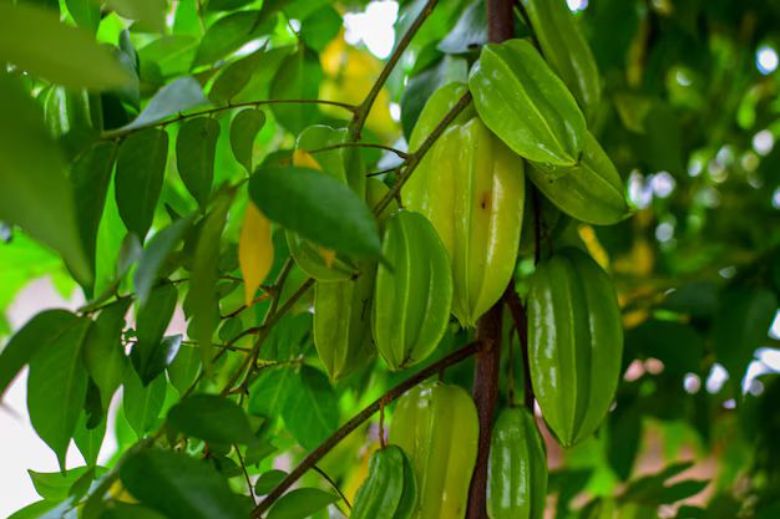 image 2025 09 28T092539.870