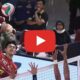 live livoli