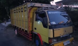 Diduga Pengemudi Ceroboh Saat Menyalip di Jalan Raya Tabrak Pemotor Wanita Muda di Perak Jombang
