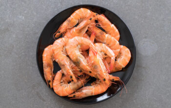 udang