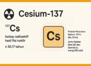 Kronologi Paparan Radioaktif Cs-137 di Serang Banten dan Dampak Buruknya Terhadap Manusia