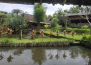 Ekplorasi Desa Wisata Kembangarum, Surga Alam dan Edukasi di Sleman, Yogyakarta