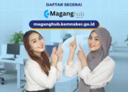MagangHub Kemenaker Disorot, Diduga Ada Perusahaan Minta Uang ke Peserta Magang