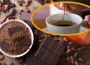 Taburkan Kayu Manis, Coklat Hitam ke Cangkir Kopi Anda dan Dapatkan Manfaatnya