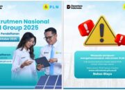 PLN Buka Rekrutmen Besar-besaran, Lulusan D3 hingga S2 Diburu