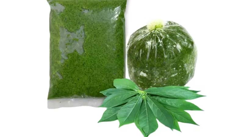 daun singkong2