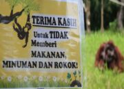 Pemkot Bandung Larang Warga Kunjungi Bandung Zoo, Ternyata Ini Alasannya