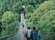 Berwisata di Akhir Pekan: Jelajahi Jembatan Gantung Situ Gunung Sukabumi