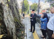 Akar Keropos, Pohon Bersejarah di Balai Kota Bogor Bisa Membahayakan Warga