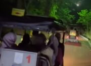 Ribuan Pengunjung Serbu Wisata Malam Perdana Ragunan, Antusiasme di Luar Dugaan