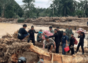 Data Terbaru Pusdalops: 154 Orang Hilang di 5 Wilayah Terdampak Bencana Sumut