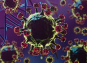 Wabah Virus Nipah di India Picu Kewaspadaan Global, Bandara Asia Lakukan Skrining Kesehatan