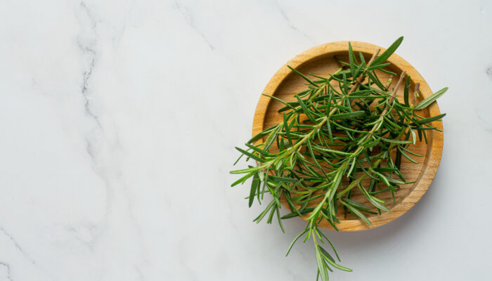 Studi Baru Ungkap Herbal yang Bisa Kalahkan Kafein! Bikin Fokus Tajam Tanpa Efek Samping