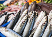 Perbandingan Gizi Sarden dan Tuna, Mana Lebih Unggul untuk Omega-3 dan Protein?