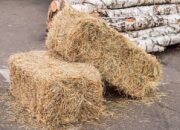 Mengenal Bobibos, Bahan Bakar dari Jerami yang Murah dan Ramah Lingkungan