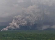 Gunung Semeru Erupsi, Detik-Detik Kepulan Asap Tebal Terekam Warga