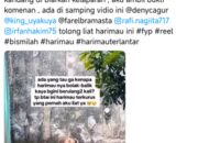 Isu Korupsi Pakan Harimau Viral, Ragunan Siap Disidak Gubernur DKI