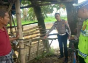 Diletakkan di Tengah Jalan, Kursi Bekas Balap Liar Picu Kecelakaan Beruntun di Jalur Jember–Lumajang