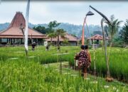 Sambangi Resto “Ngopi di Sawah”: Nikmatnya Kuliner Nusantara Ditemani Panorama Puncak