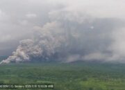 Pasutri Kediri Luka Bakar 20 Persen usai Terseret Awan Panas Semeru di Gladak Perak
