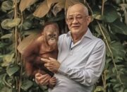 Low Tuck Kwong: Raja Batu Bara yang Mengguncang Tahta Orang Terkaya Indonesia