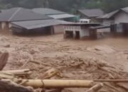 Update Banjir dan Longsor di Sumut, 34 Orang Tewas dan 52 Lainnya Hilang